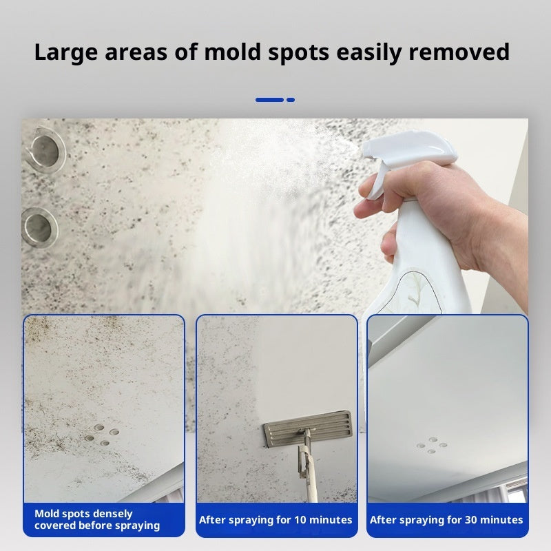 Mould Removal Spray